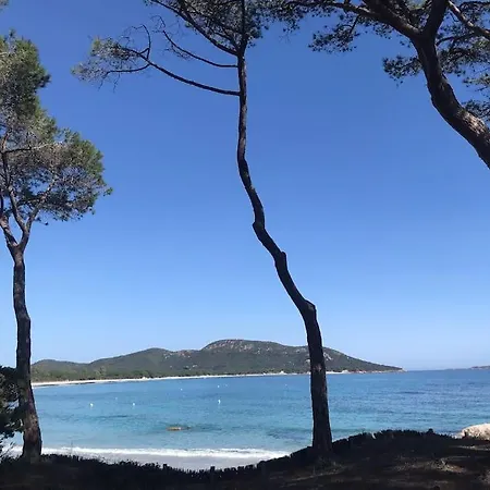 Lagoon - Porto-vecchio Port - 4-6 Pers - Piscine - Cita Di Sali Porto-Vecchio (Corsica)